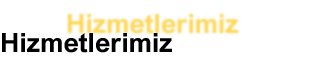 Hizmetlerimiz